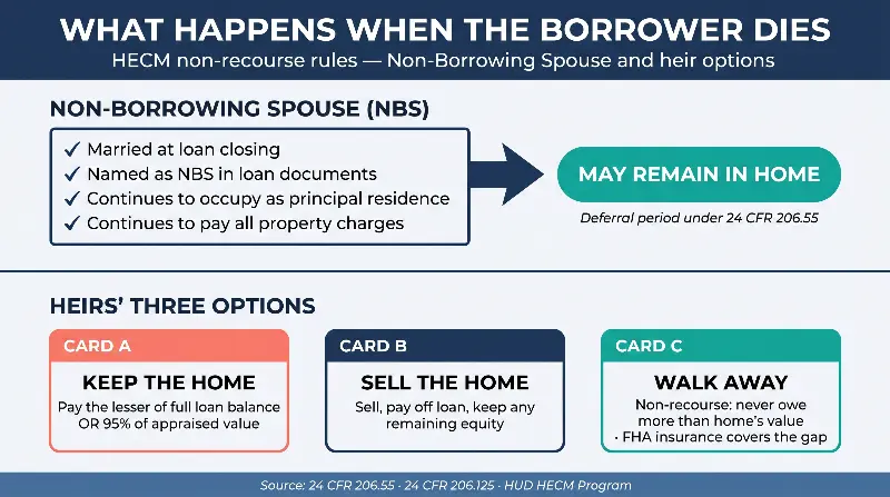 Infographic explaining what happens to a HECM-secured home when the borrower dies. Non-Borrowing Spouse (NBS) section: a spouse who was married at loan closing, named as NBS in loan documents, continues to occupy as principal residence, and continues to pay all property charges may remain in the home under the deferral period at 24 CFR 206.55. Heirs' three options section: (A) Keep the home — pay the lesser of full loan balance OR 95% of appraised value; (B) Sell the home — sell, pay off loan, keep any remaining equity; (C) Walk away — non-recourse protection means never owing more than the home's value, with FHA insurance covering any gap. Source: 24 CFR 206.55, 24 CFR 206.125, HUD HECM Program